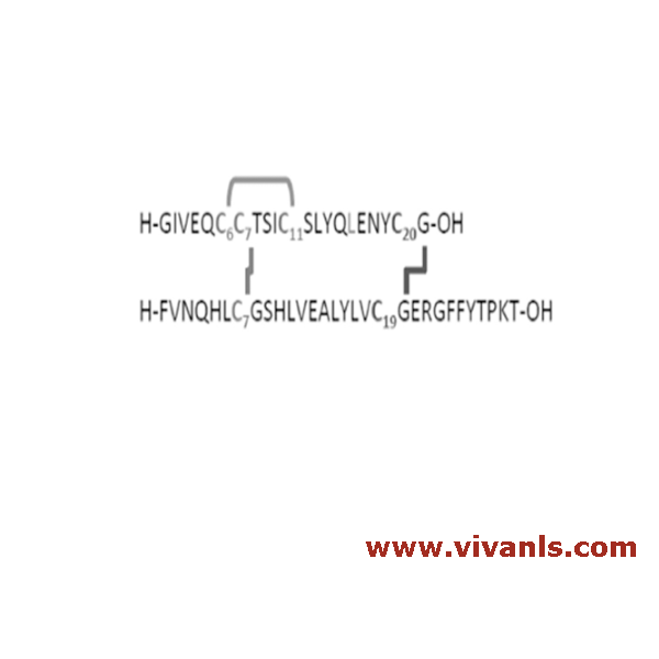 Metabolites-Insulin Glargine Metabolite 1 SIL 13C615N Leu-1663844074.png